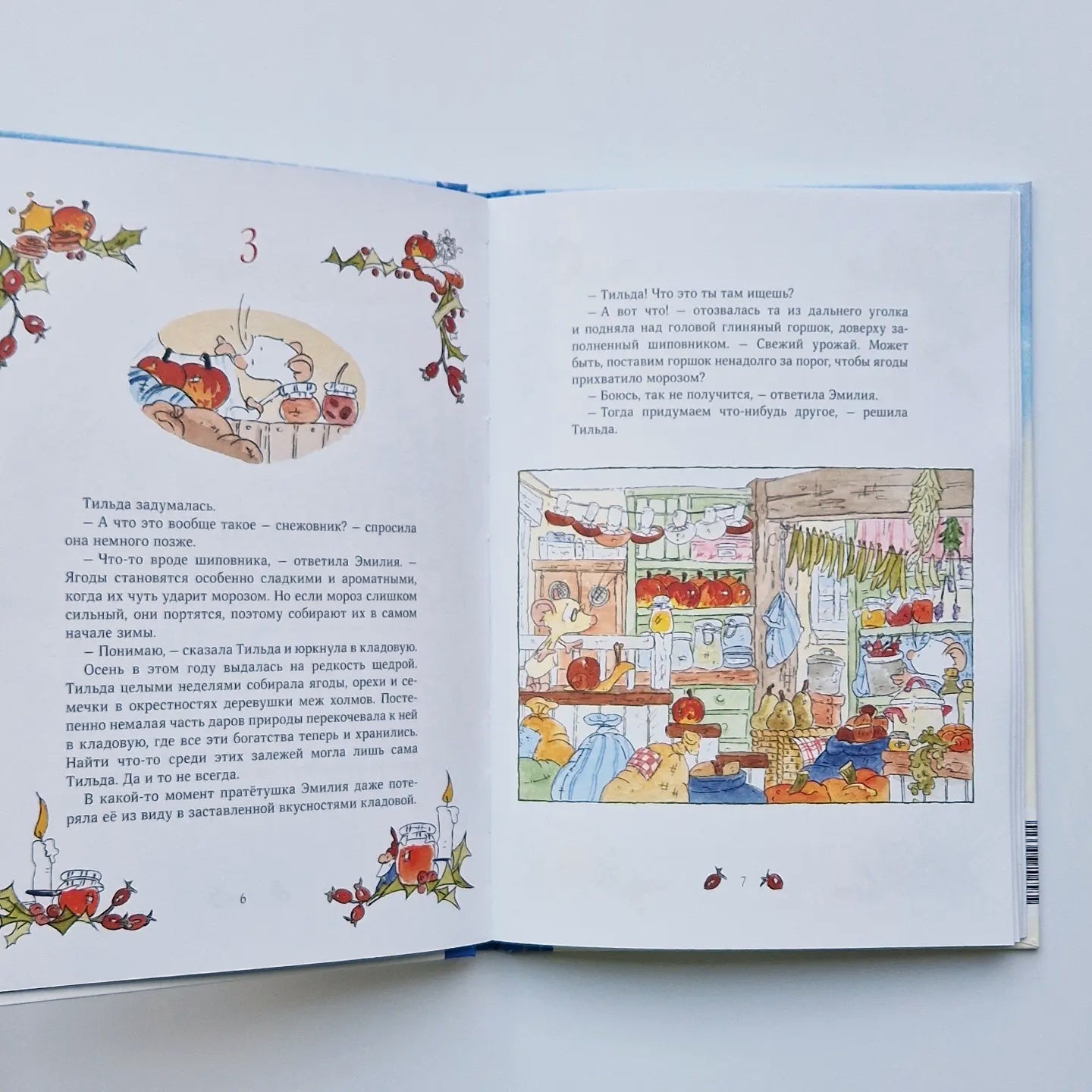 Тильда Яблочное Семечко. Где растёт снежовник?