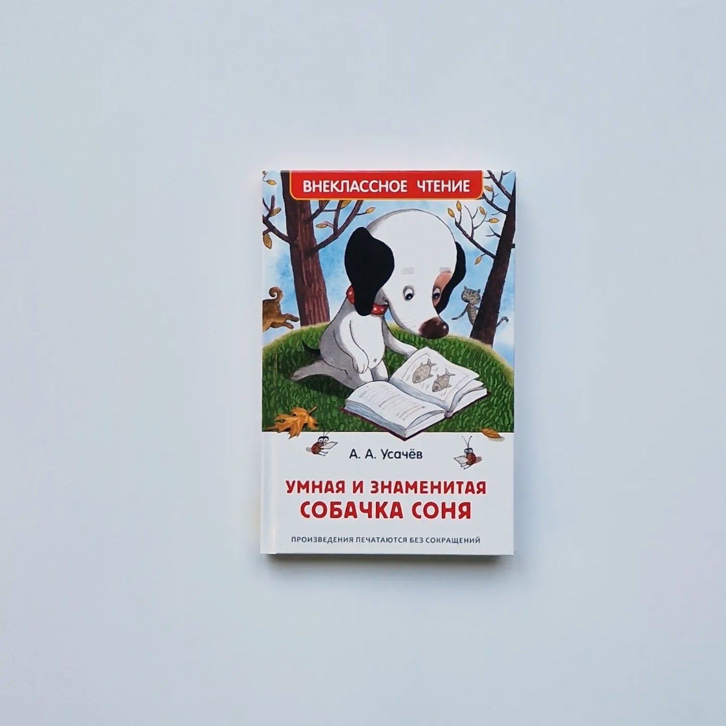 Умная и знаменитая собачка Соня. Внеклассное чтение