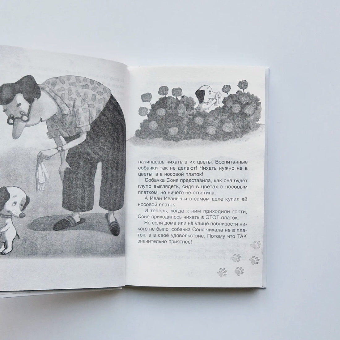 Умная и знаменитая собачка Соня. Внеклассное чтение
