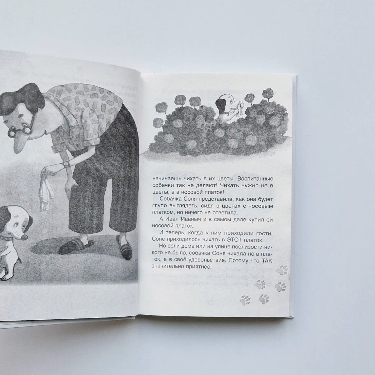 Умная и знаменитая собачка Соня. Внеклассное чтение