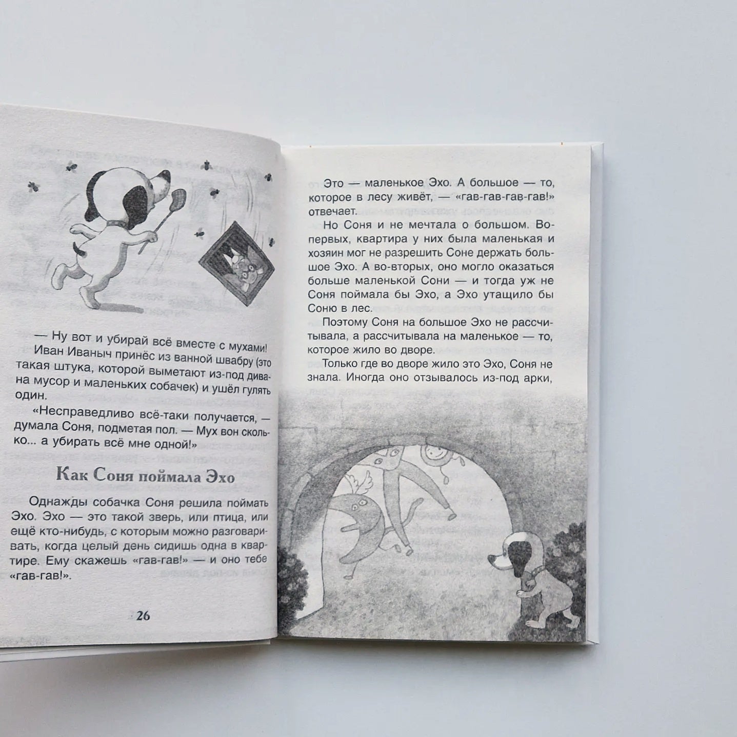 Умная и знаменитая собачка Соня. Внеклассное чтение