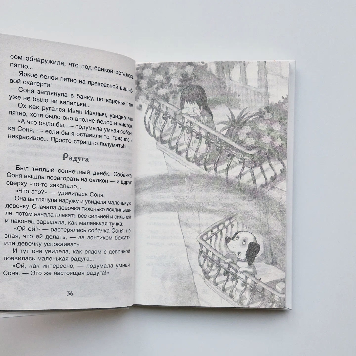 Умная и знаменитая собачка Соня. Внеклассное чтение