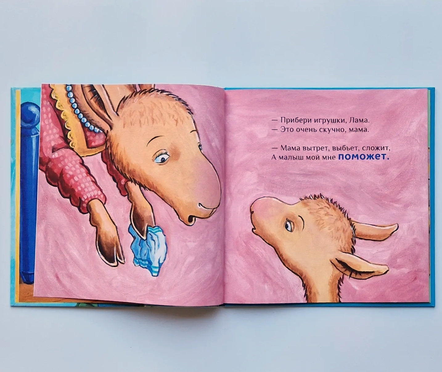 Little Llama: If the House is a Mess