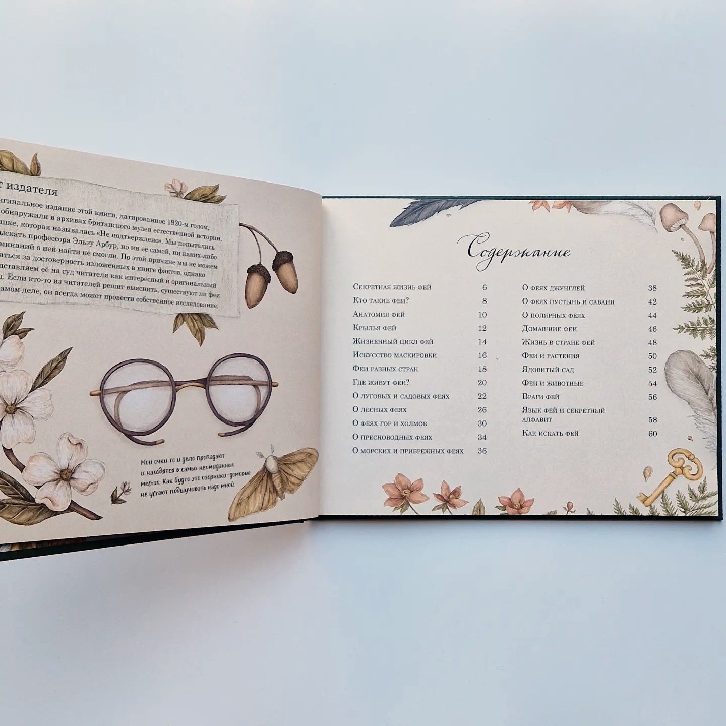 Секретная жизнь фей