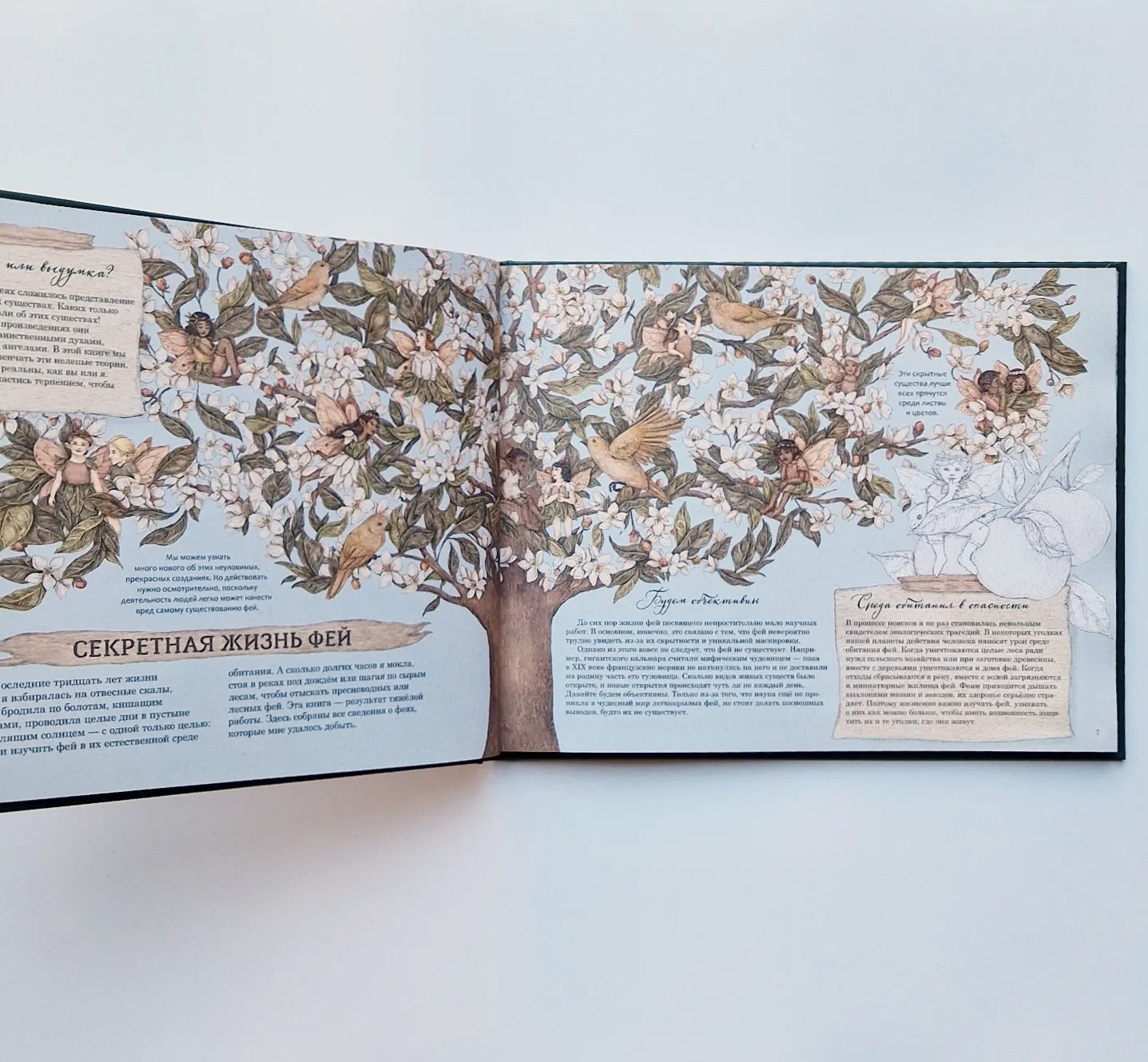 Секретная жизнь фей