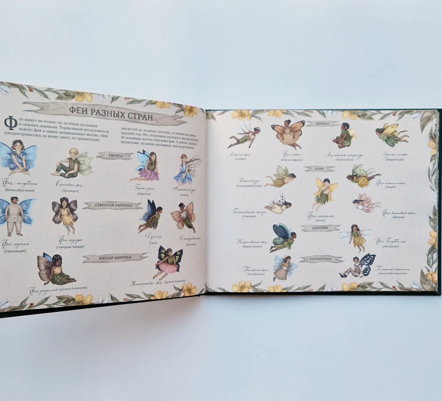 Секретная жизнь фей