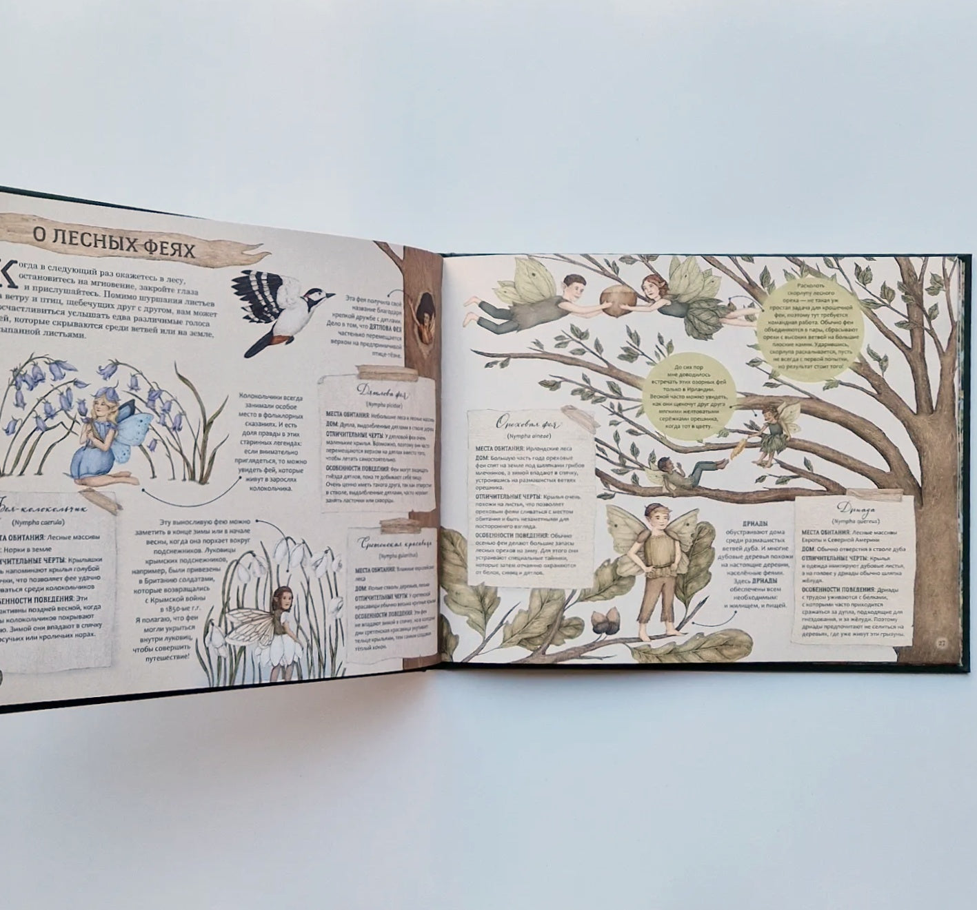 Секретная жизнь фей