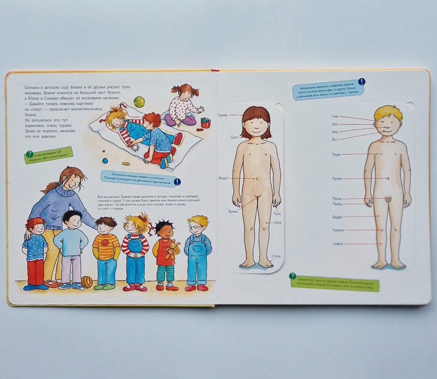 Connie studies the body. Book with windows