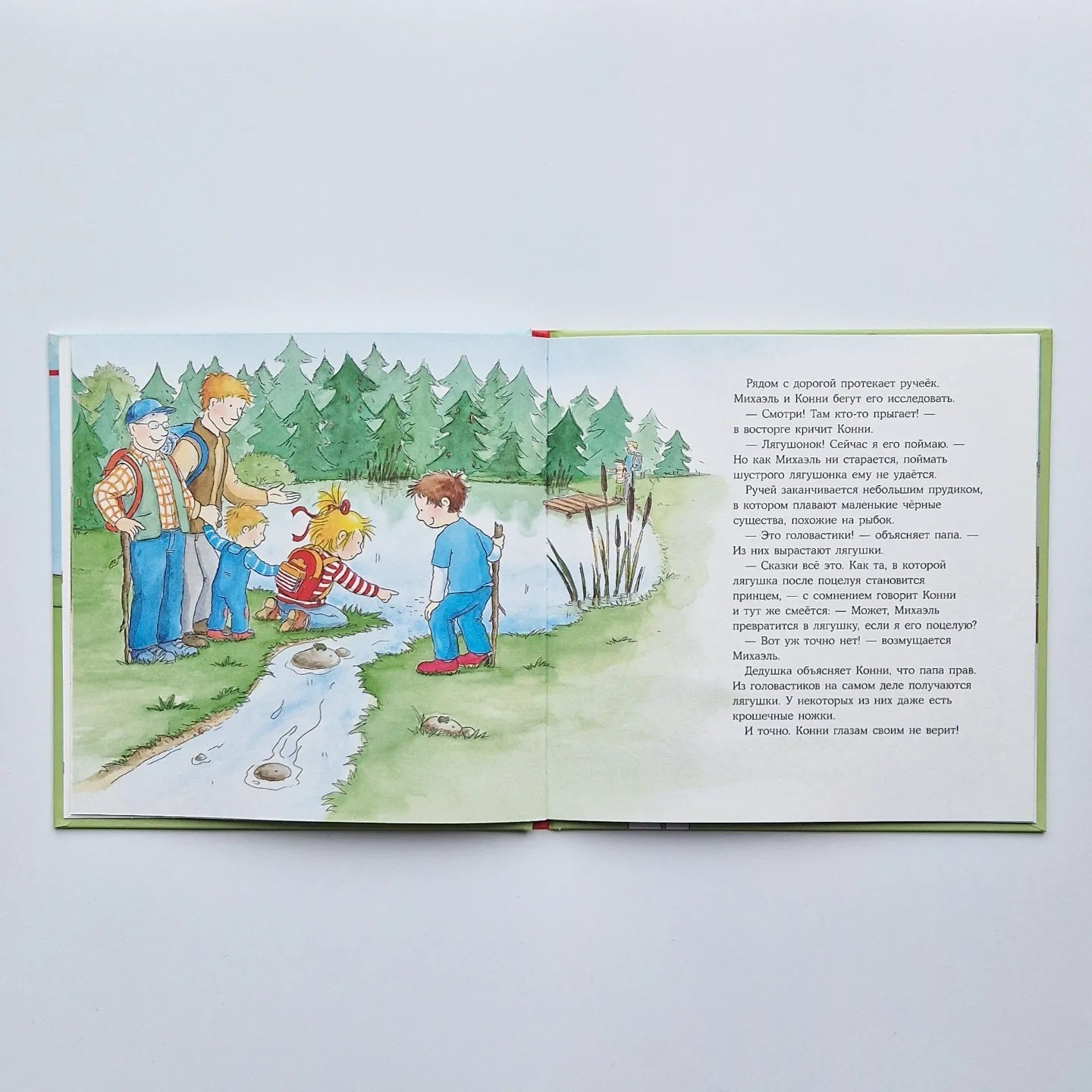 Конни едет на пикник
