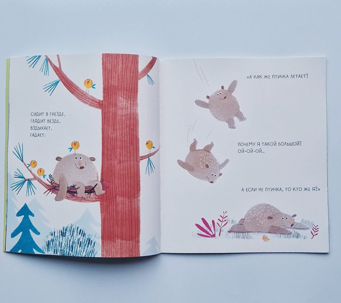 A bear is always a bear