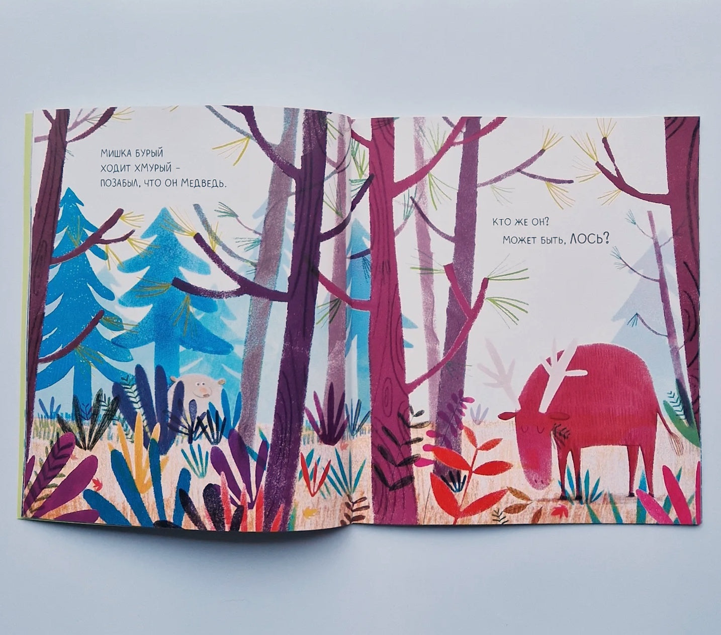 A bear is always a bear