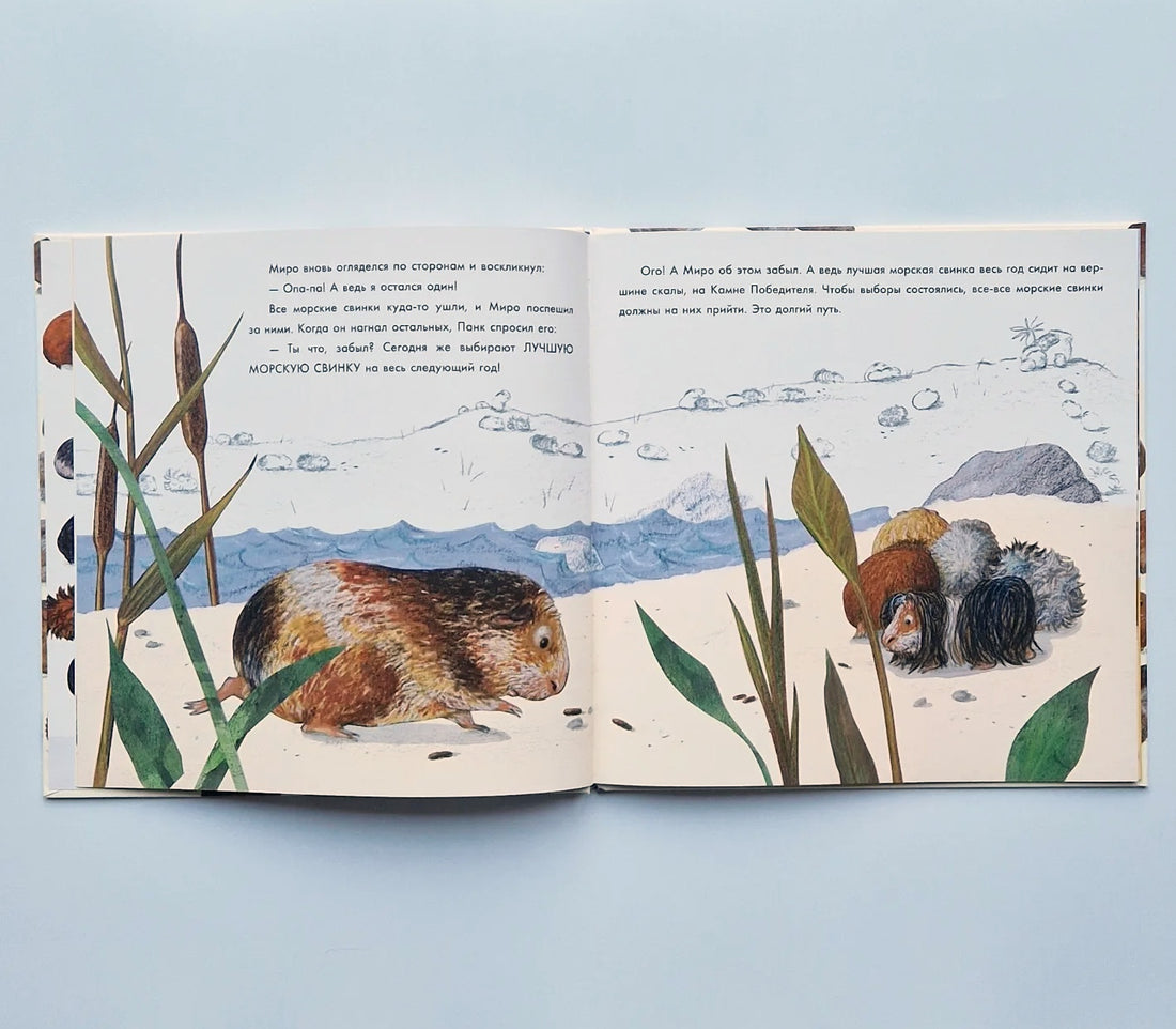 Лучше всех?