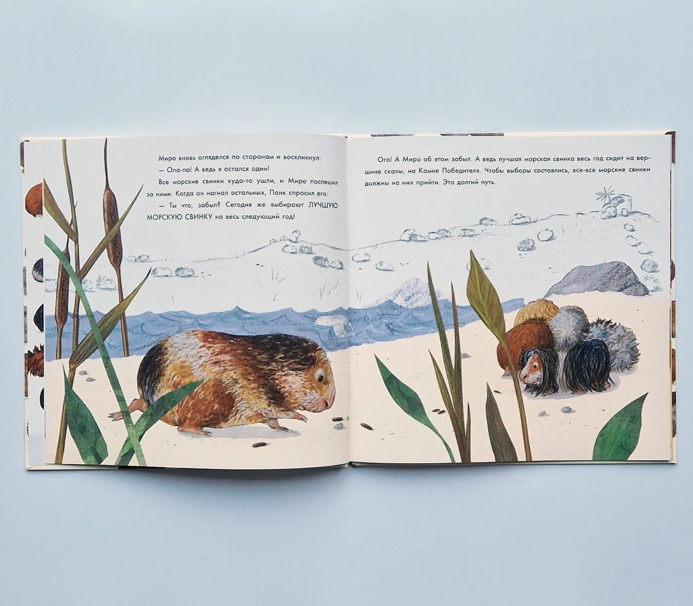 Лучше всех?