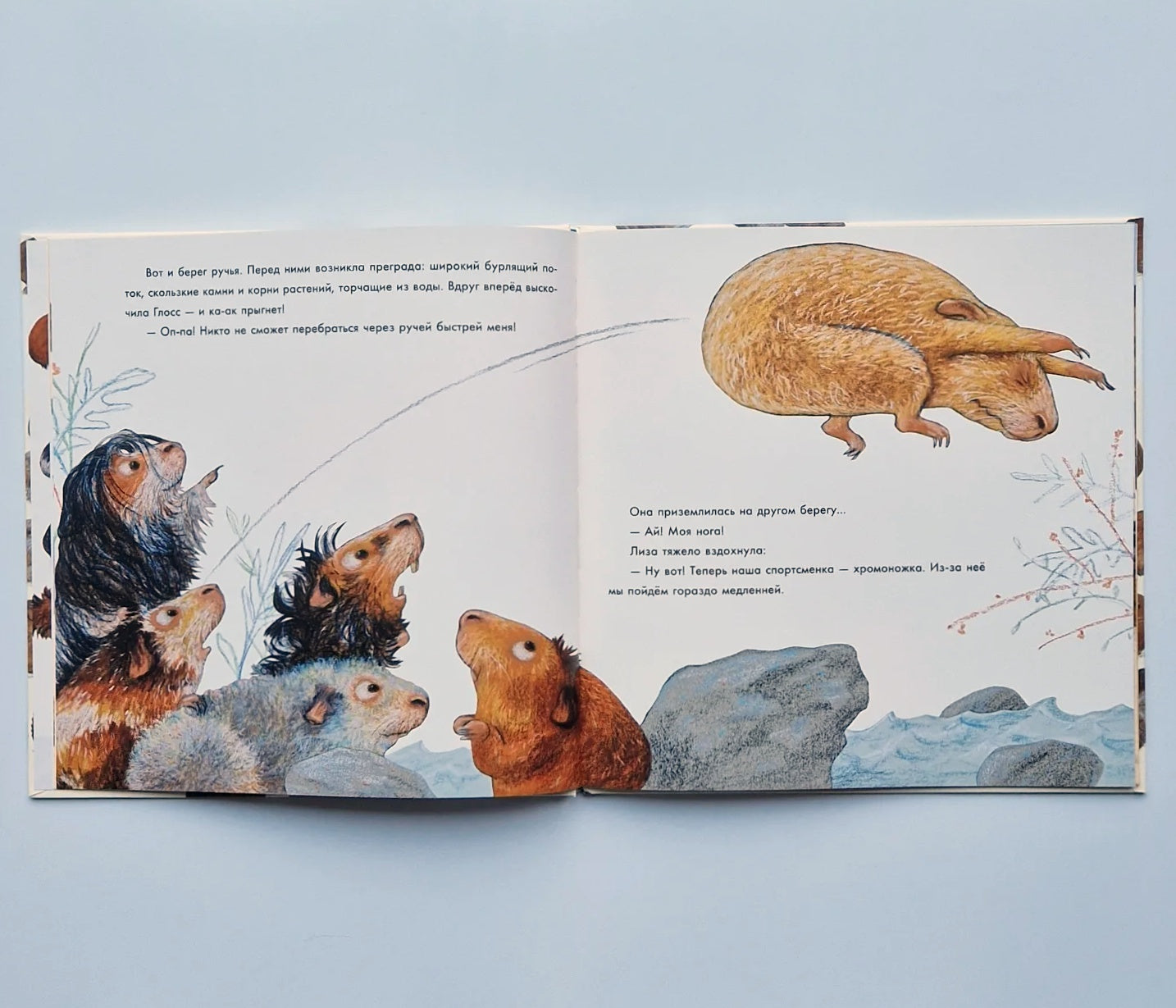 Лучше всех?