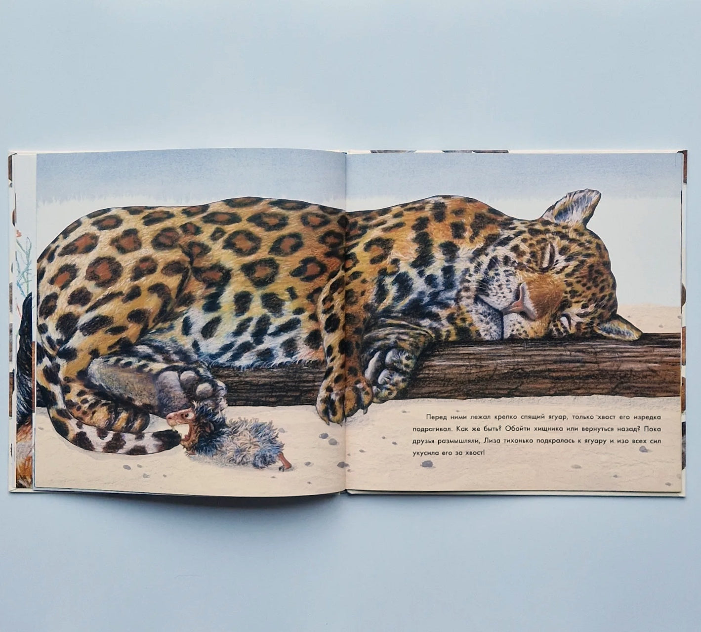 Лучше всех?