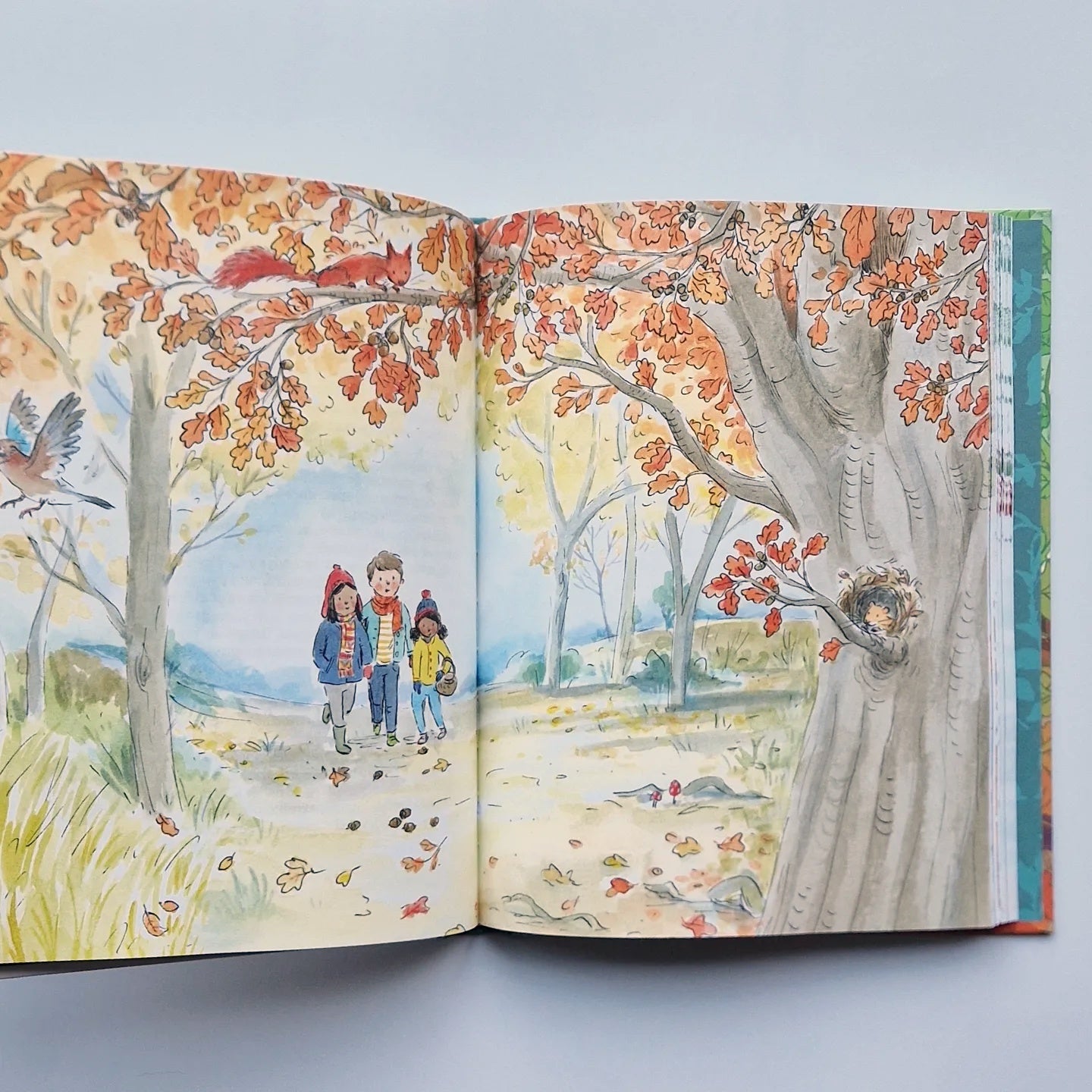 Волшебные сказки круглый год