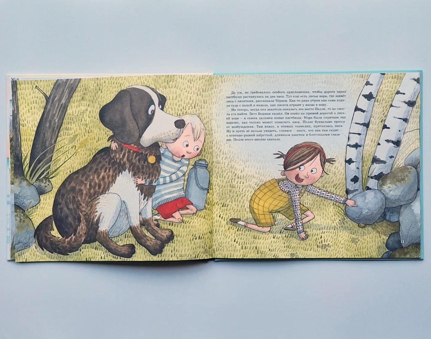 Остров Сальткрока. Кролик для Пелле