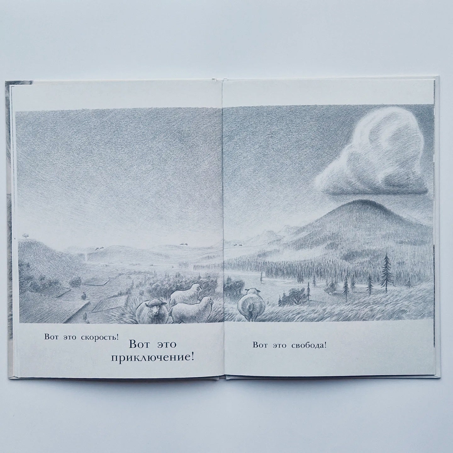 Заяц и кролики