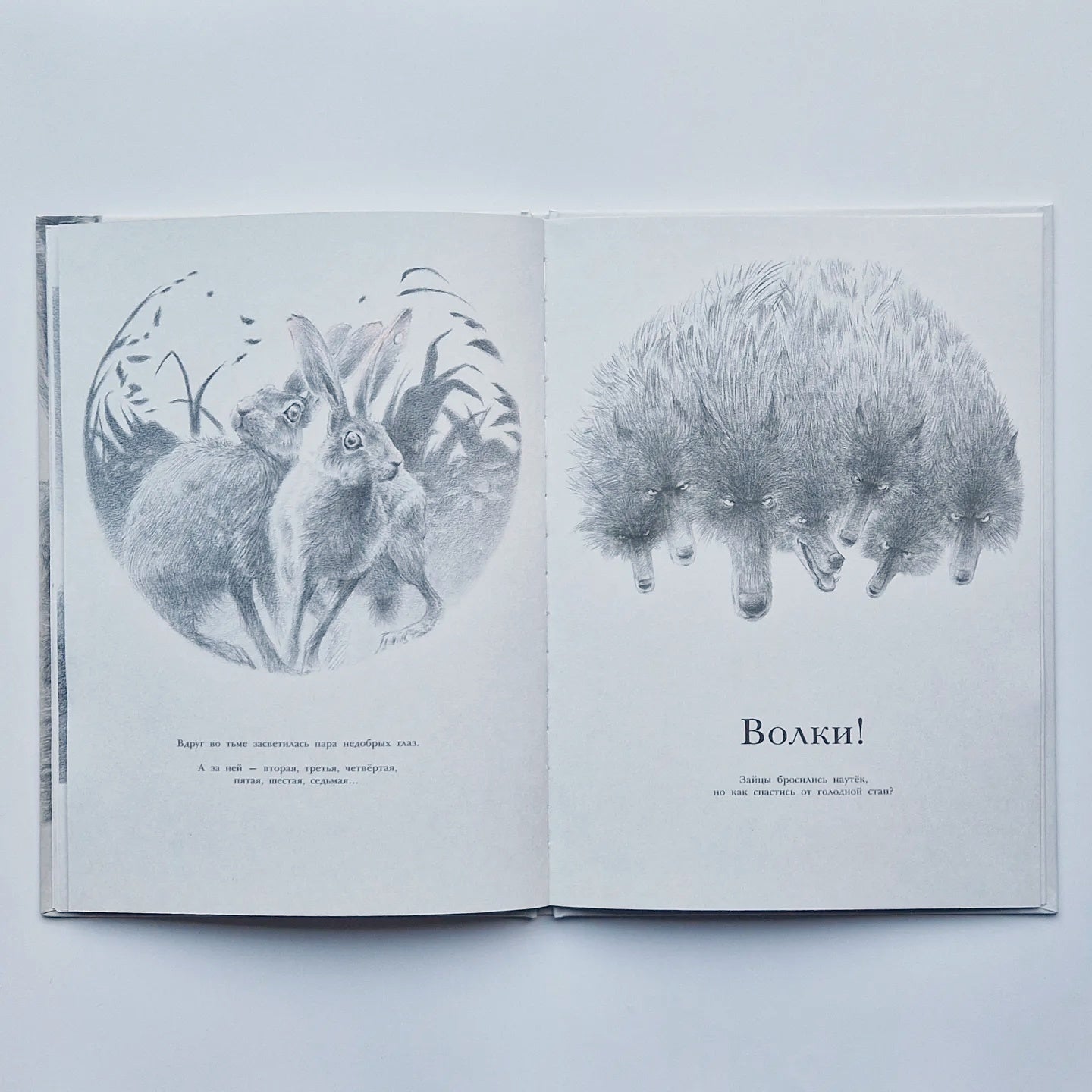 Заяц и кролики