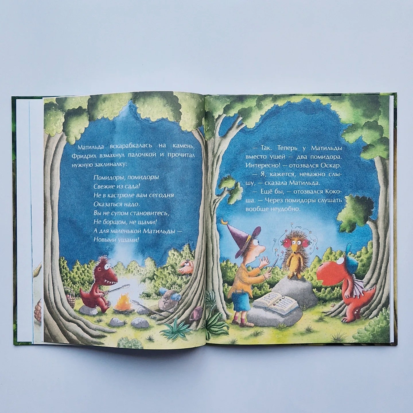 Дракончик Кокоша и ученик чародея