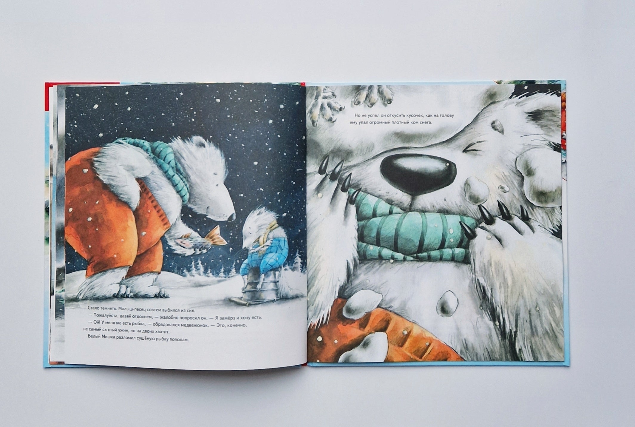 Чудо в Новый год. Как Белый Мишка нашёл друзей