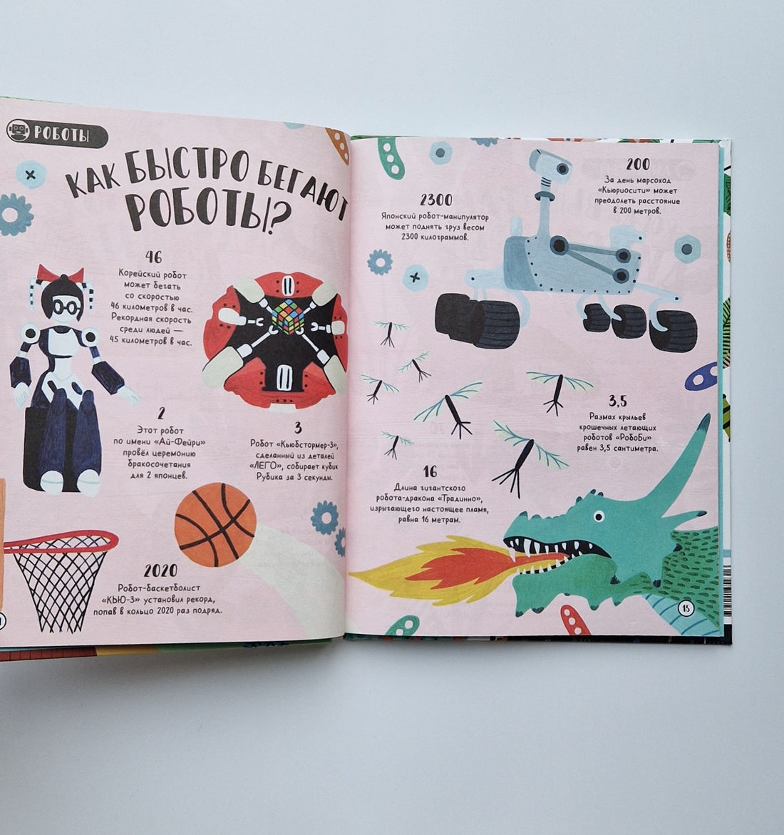 Сколько пятен у гепарда? Нескучные факты обо всем на свете