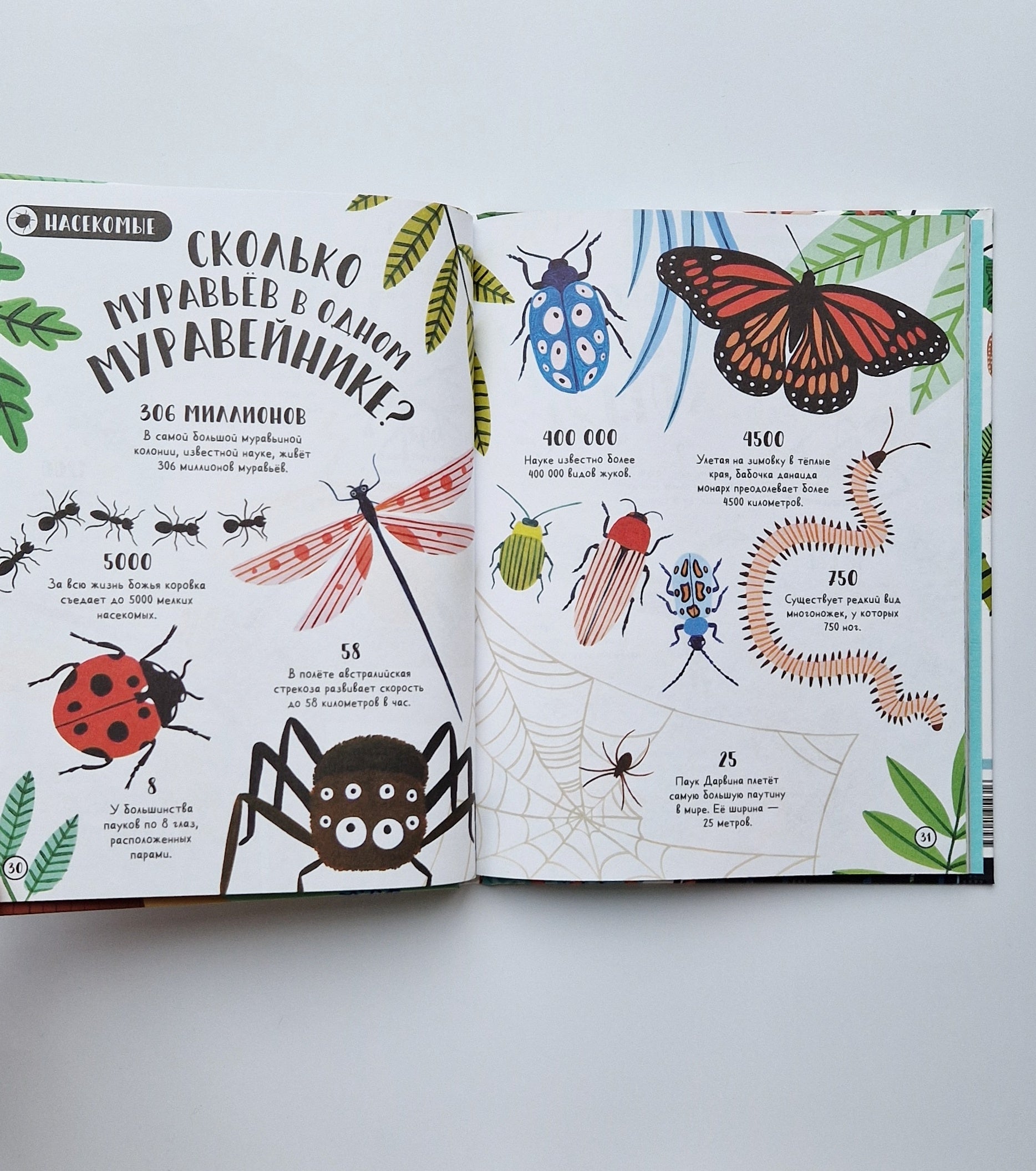 Сколько пятен у гепарда? Нескучные факты обо всем на свете