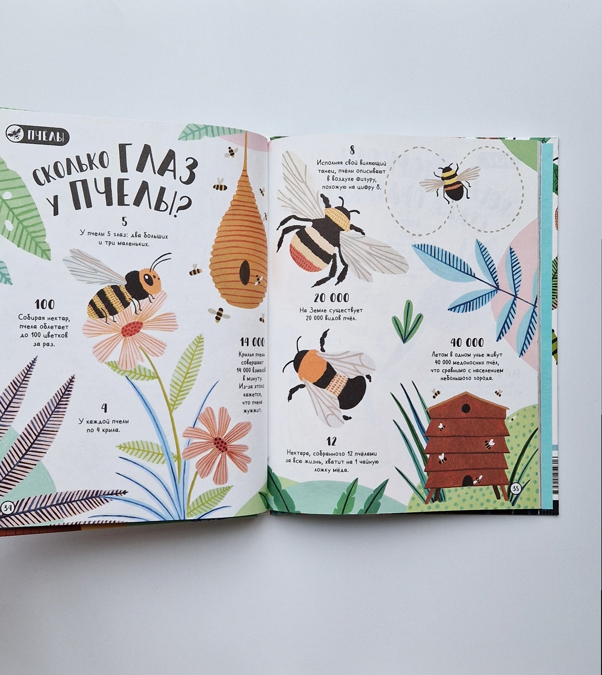 Сколько пятен у гепарда? Нескучные факты обо всем на свете