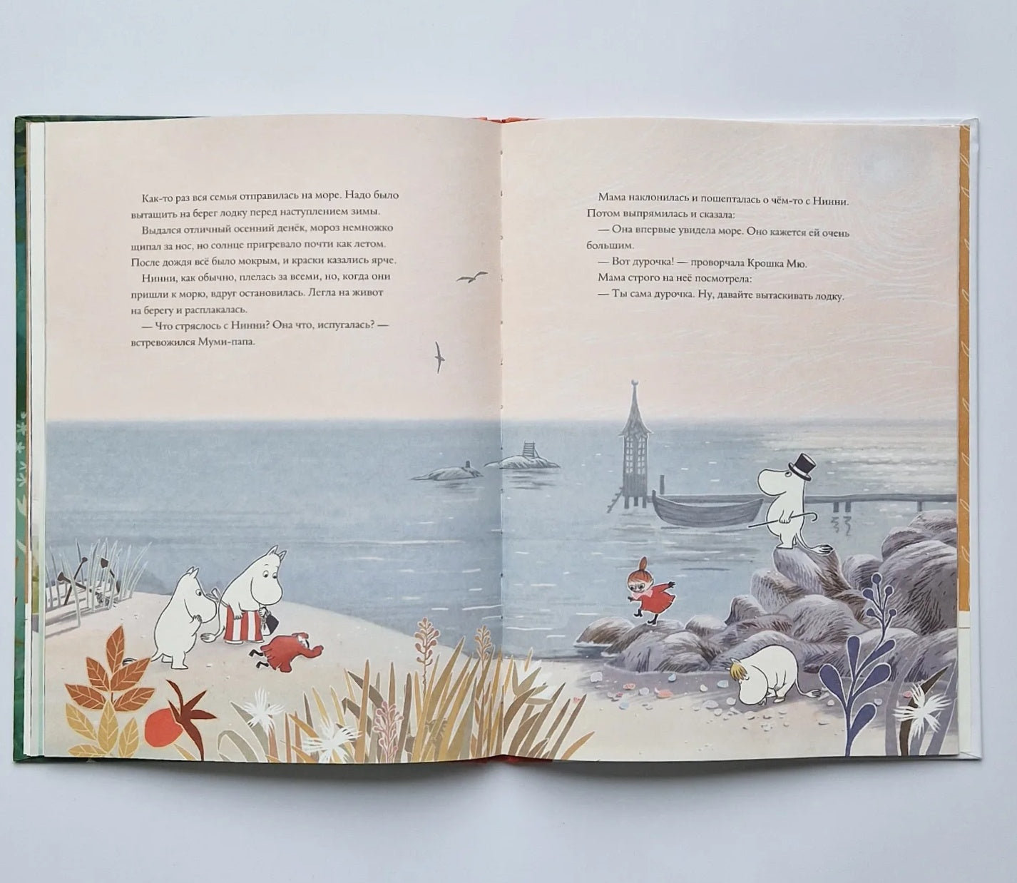 Муми-тролли и невидимая гостья