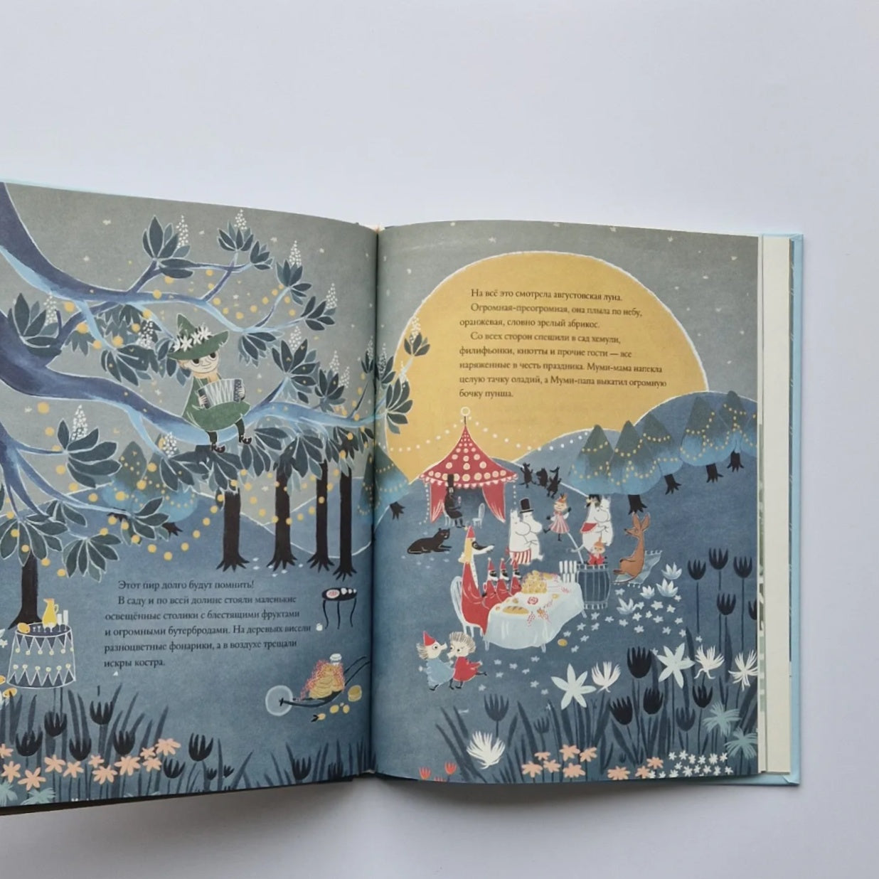 Муми-тролли и новые истории Муми-дола