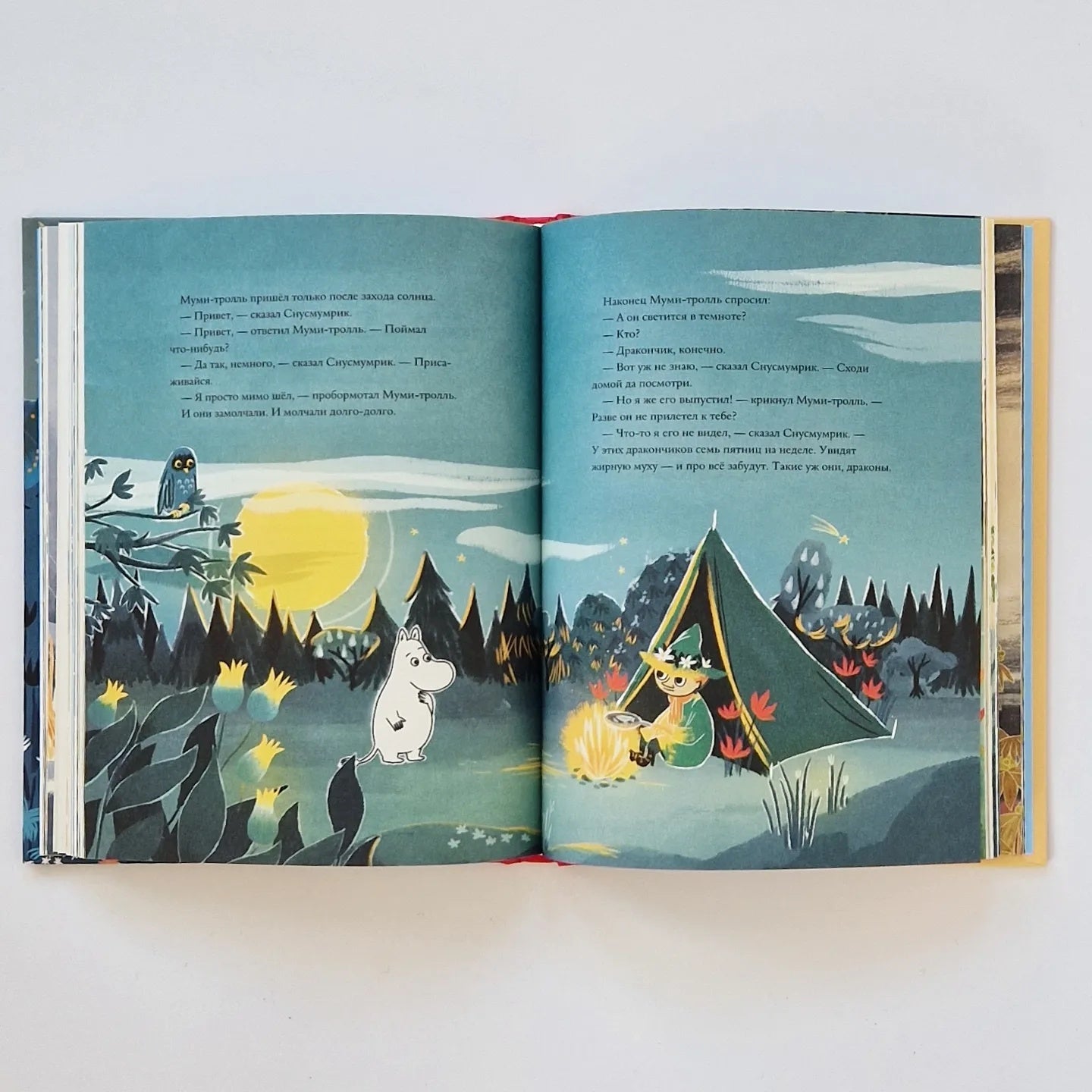 Муми-тролли и Большая книга Муми-дола