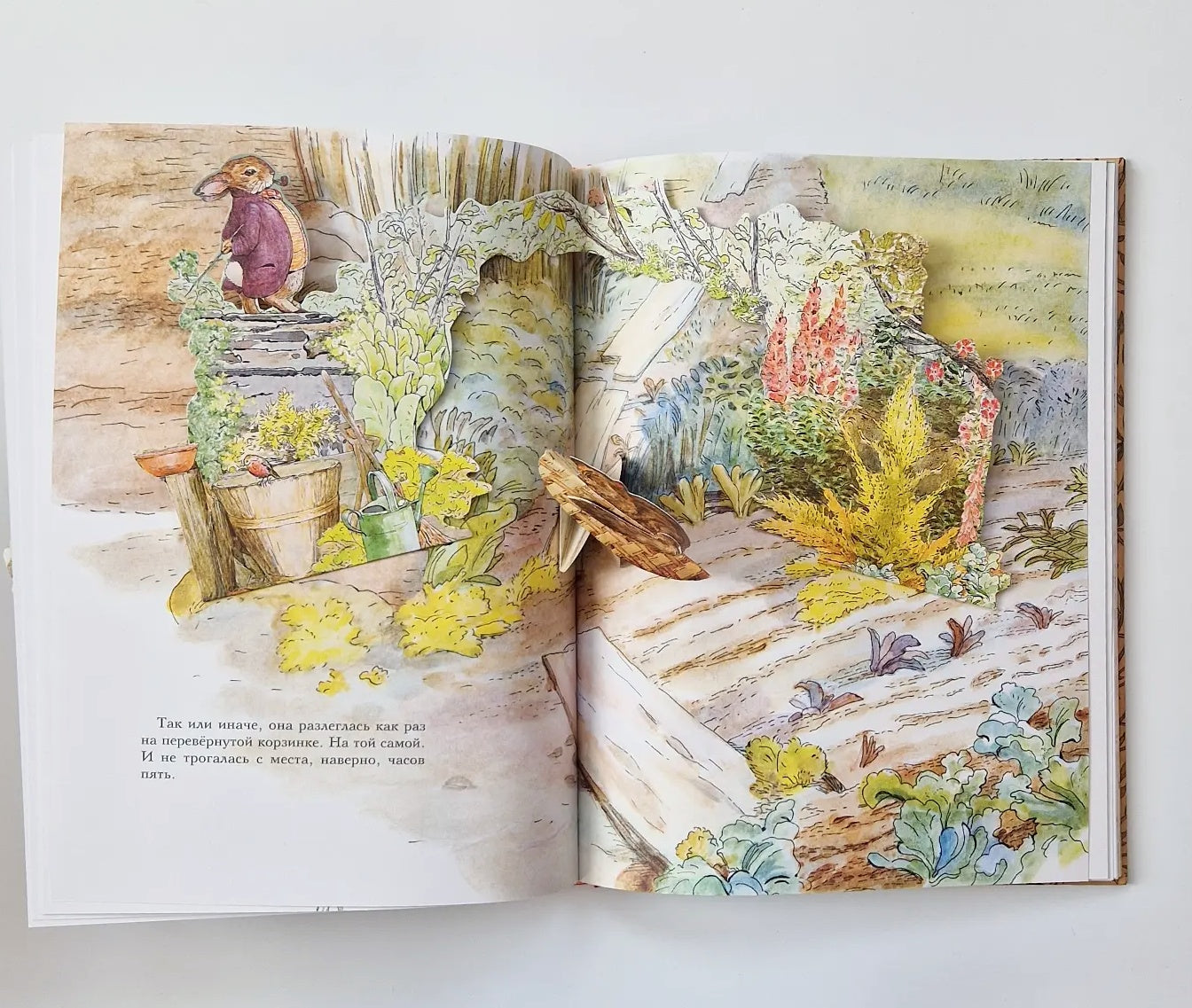 Все о Кролике Питере