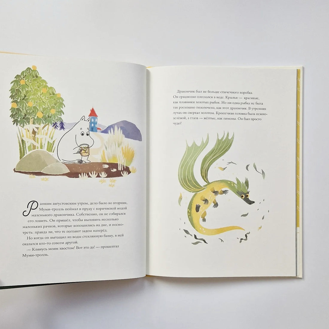 The Moomins and the Last Dragon in the World 