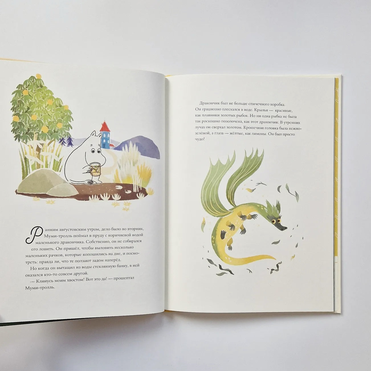 The Moomins and the Last Dragon in the World 