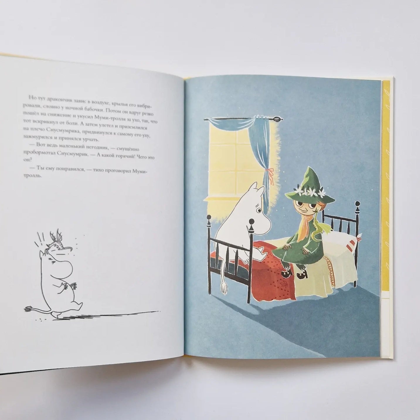 The Moomins and the Last Dragon in the World 