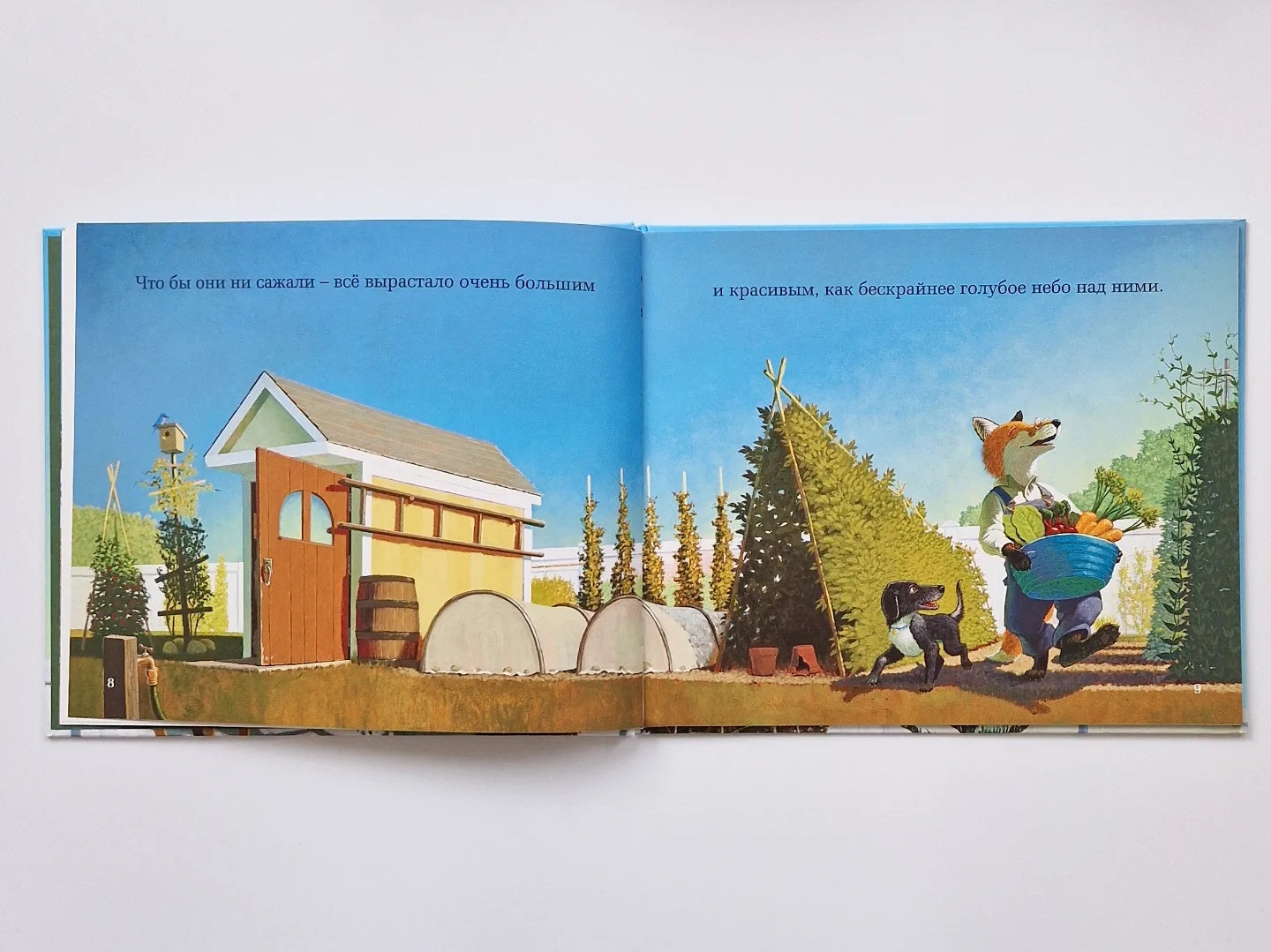 Чудесный сад Эвана