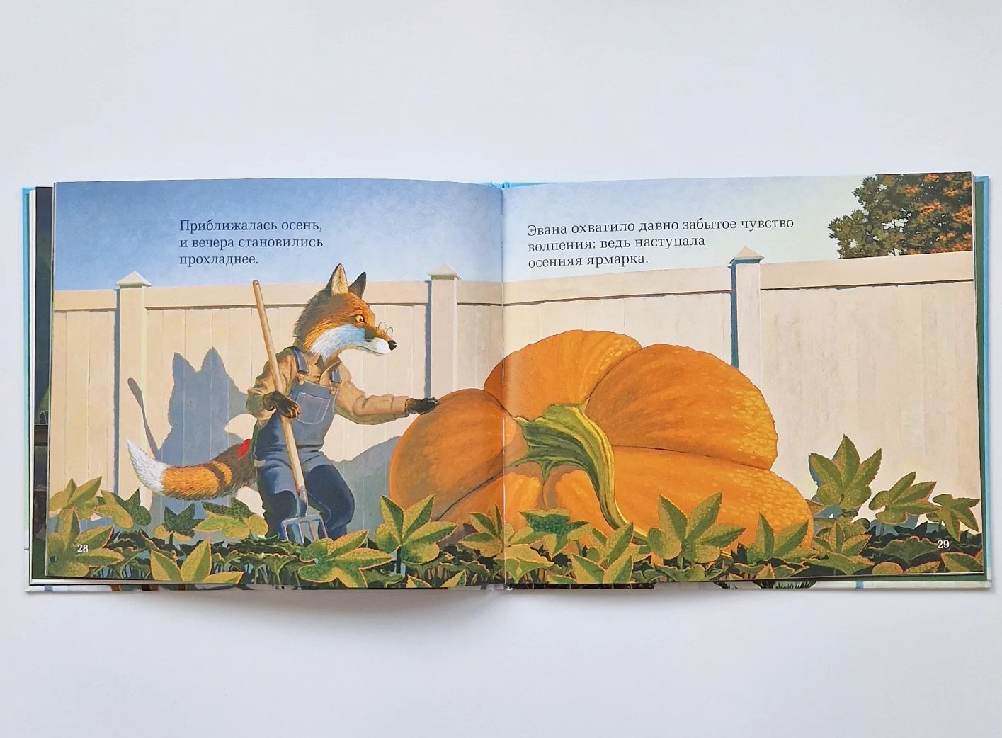 Чудесный сад Эвана