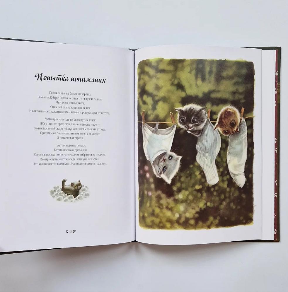 Кошачьи проделки