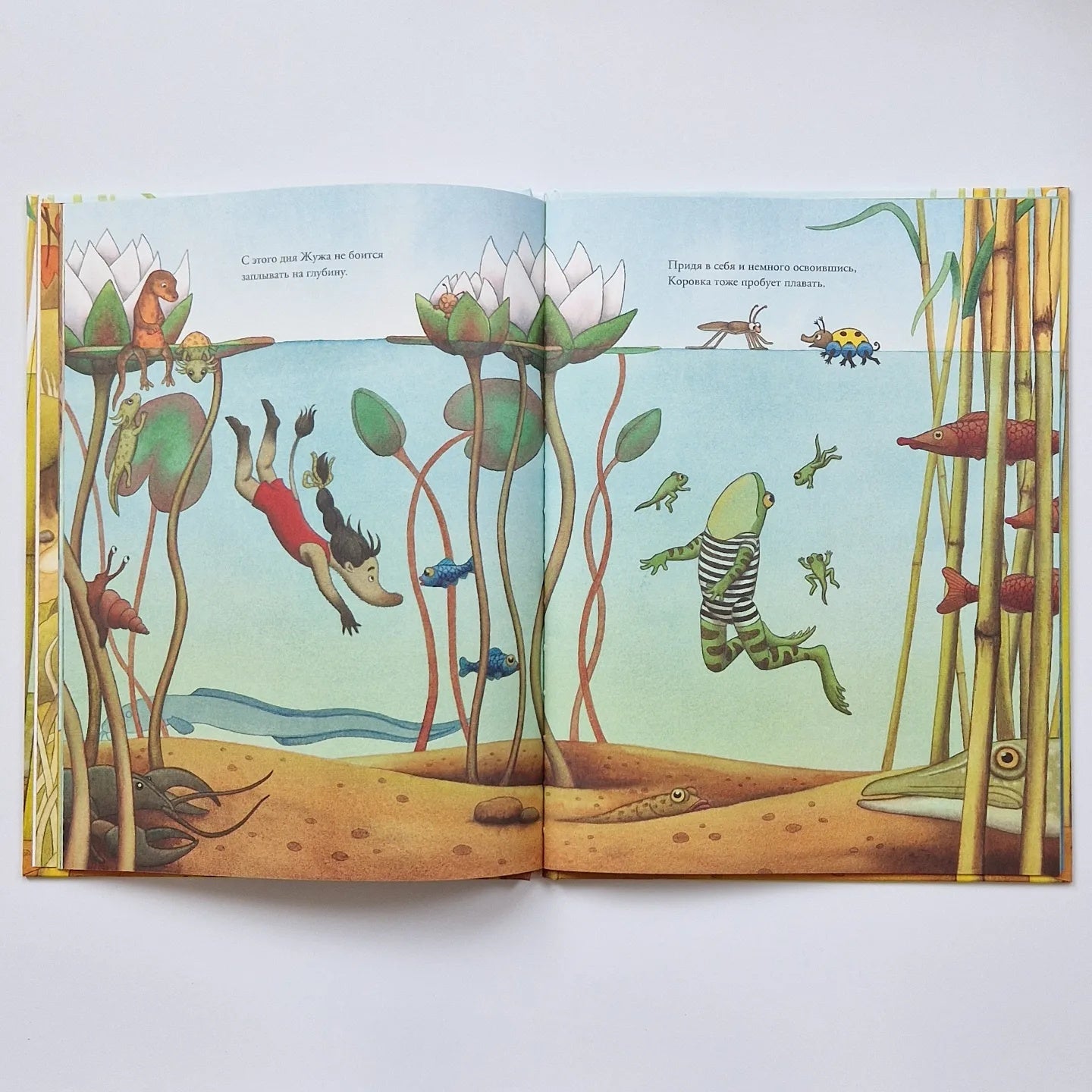 Жужа и Коровка заплывают далеко