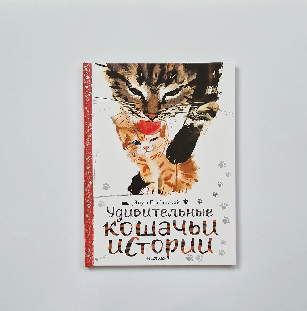 Удивительные кошачьи истории