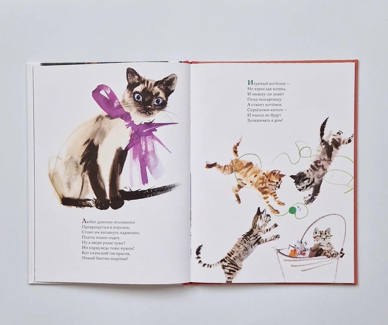 Удивительные кошачьи истории