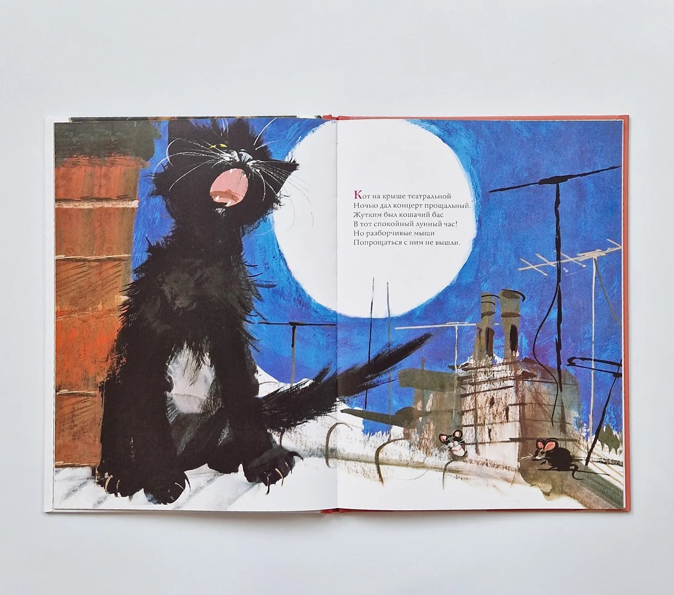 Удивительные кошачьи истории