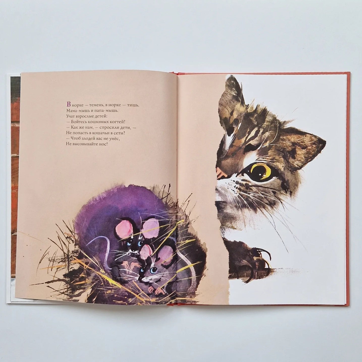 Удивительные кошачьи истории