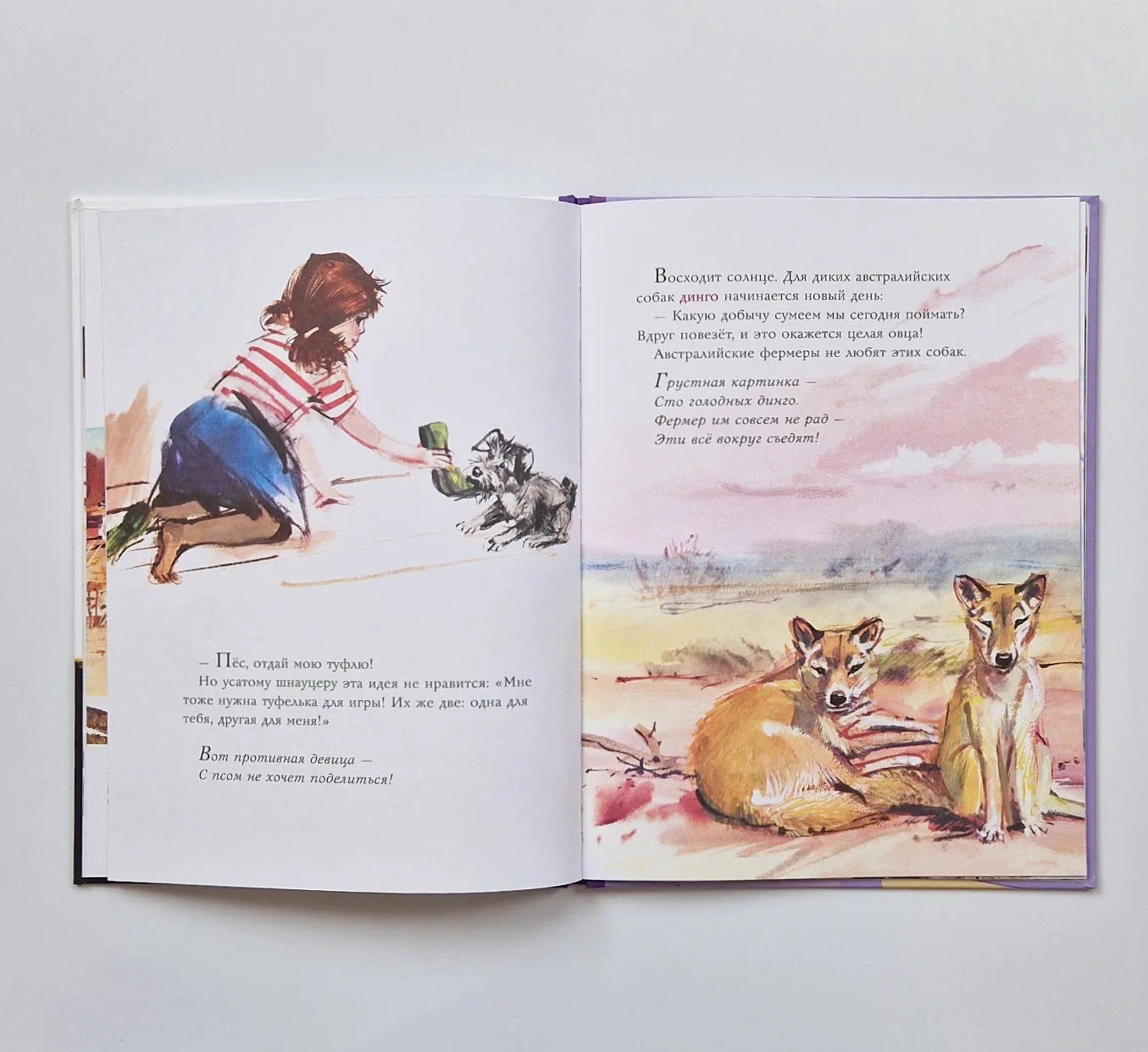 Удивительные собачьи истории