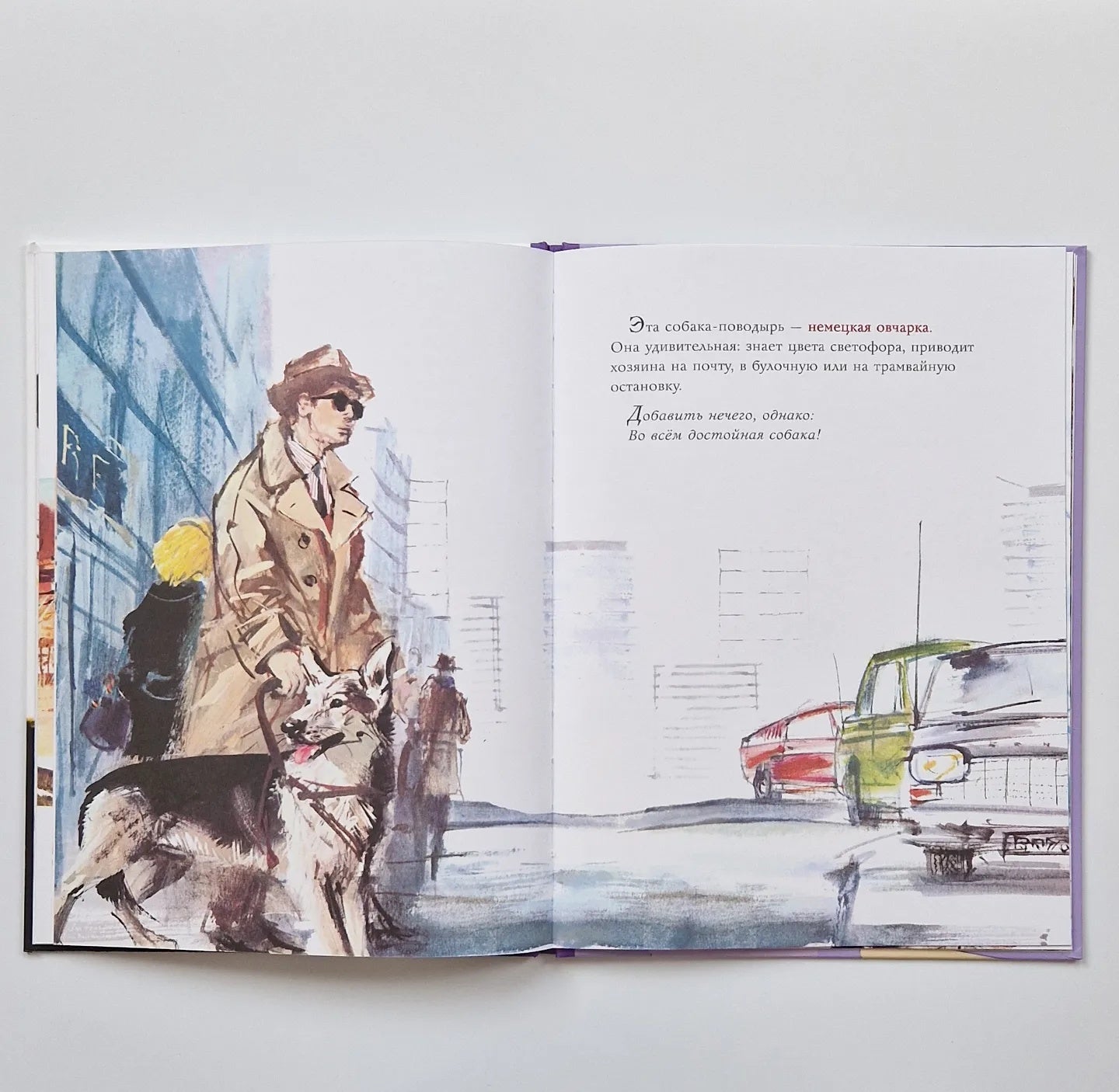 Удивительные собачьи истории