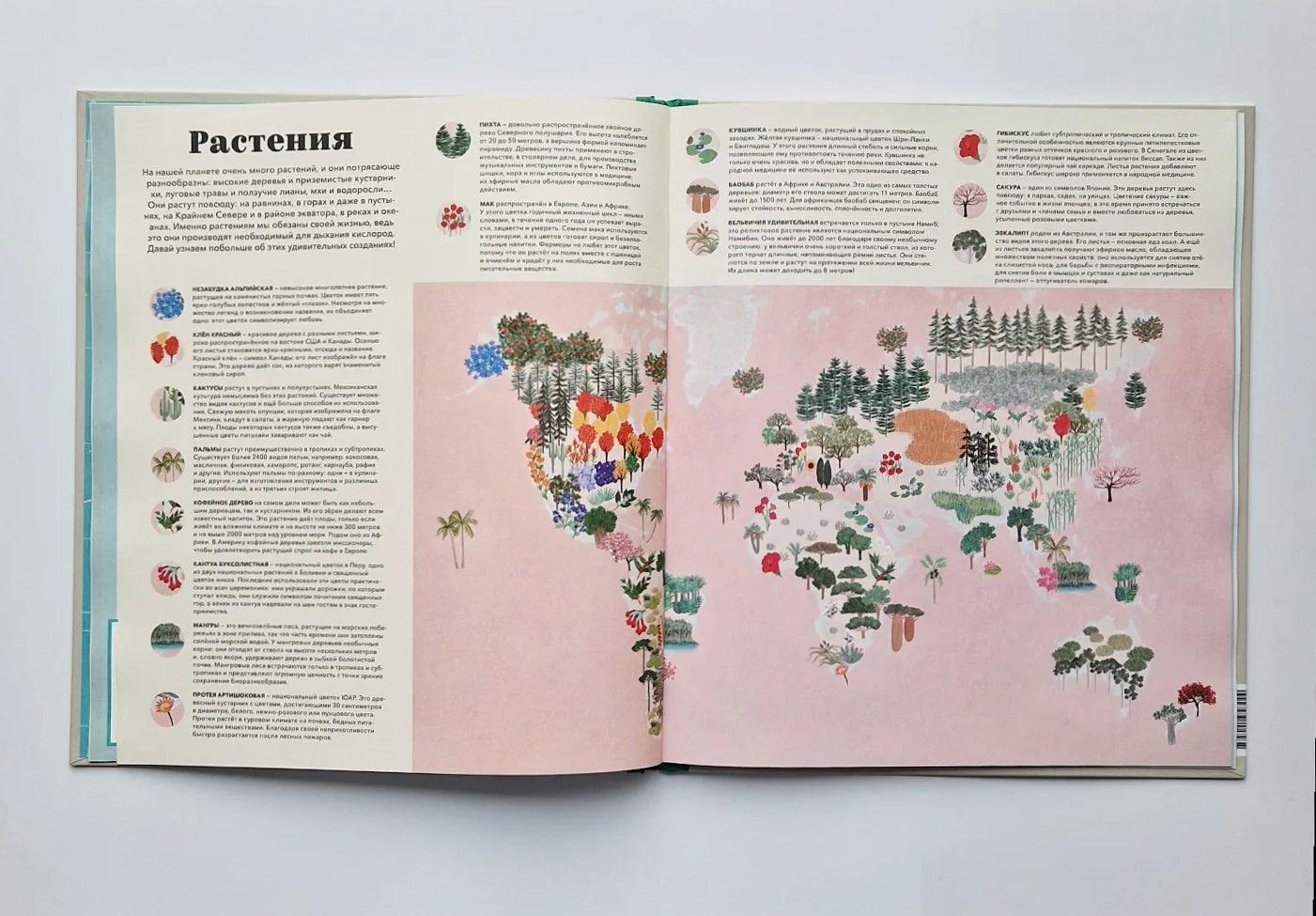 Атлас мира. Всё, что можно показать на карте