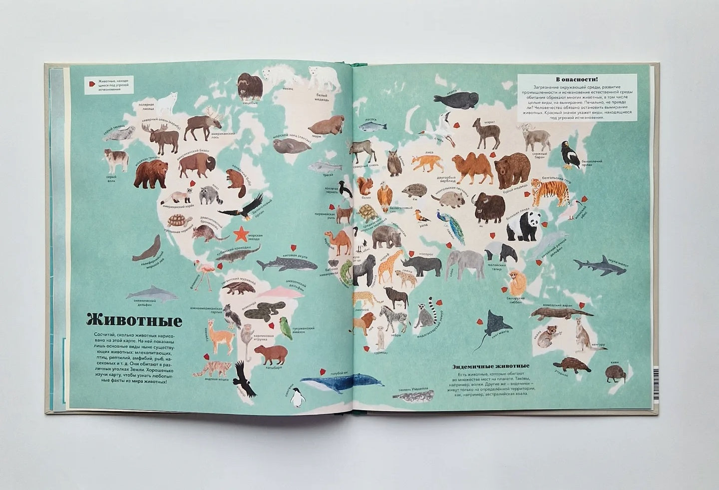 Атлас мира. Всё, что можно показать на карте