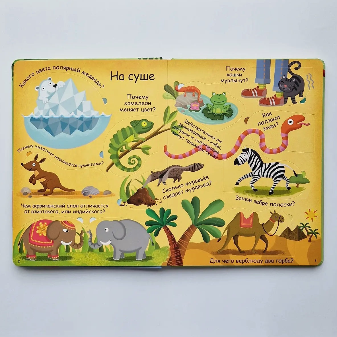 Животные. Волшебные окошки