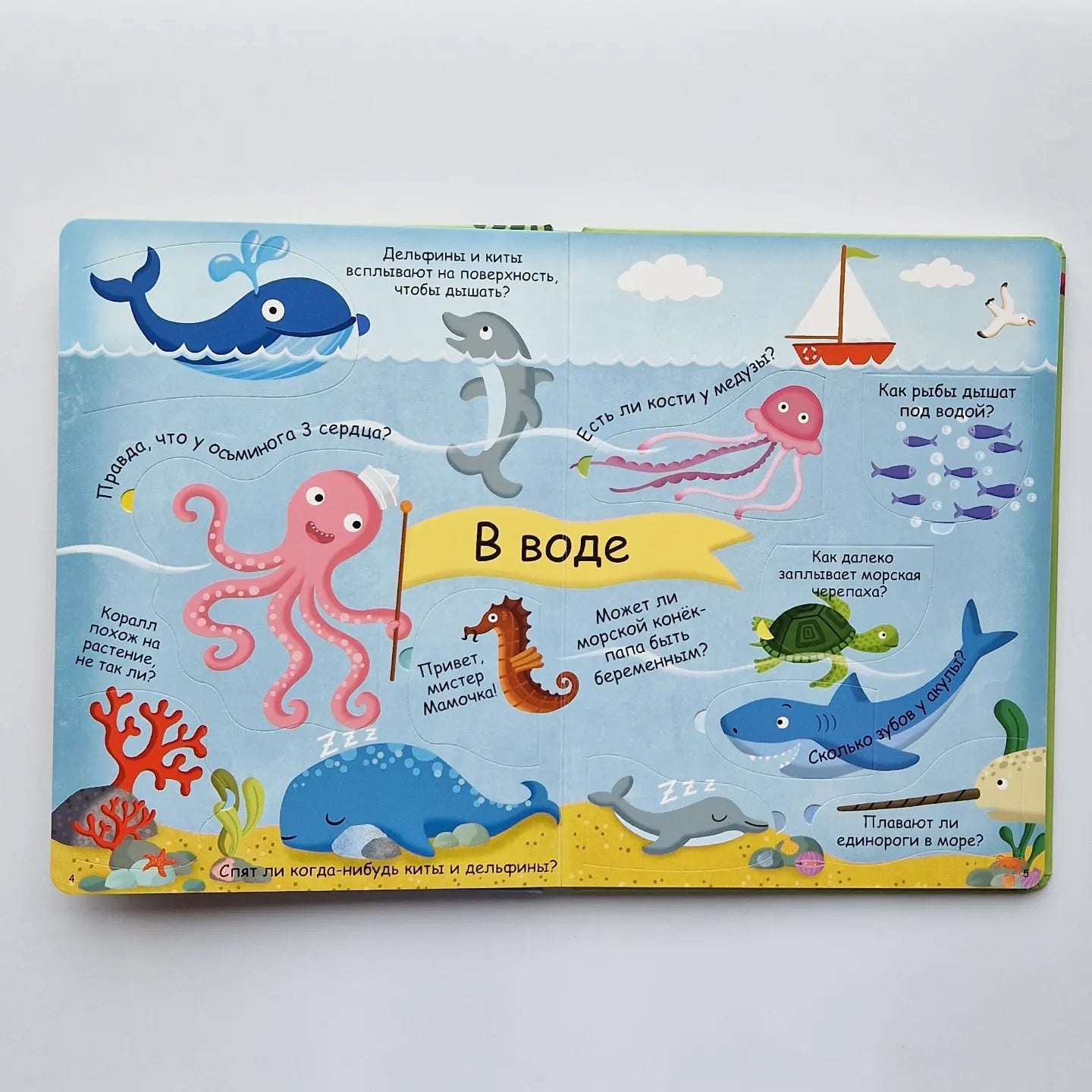 Животные. Волшебные окошки