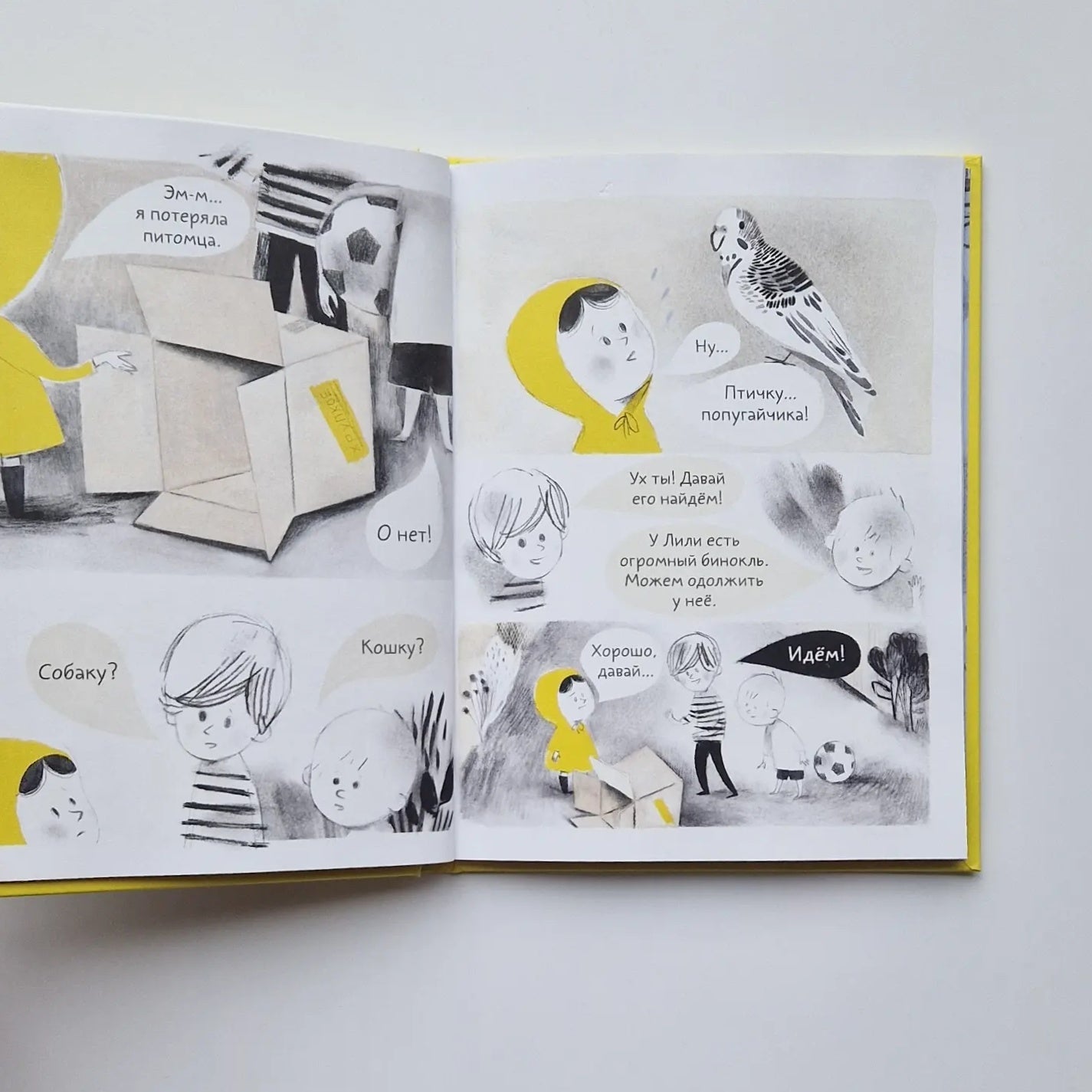 Попугай Колетт